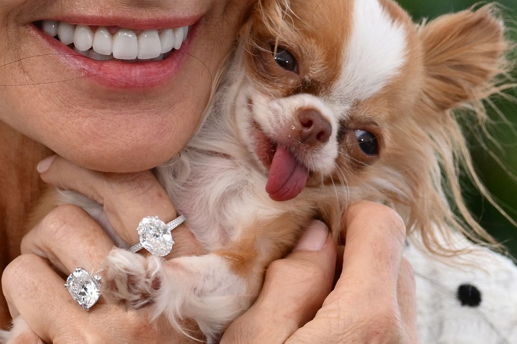 Demi Moore's dog showing off the diamond ring on her hand.