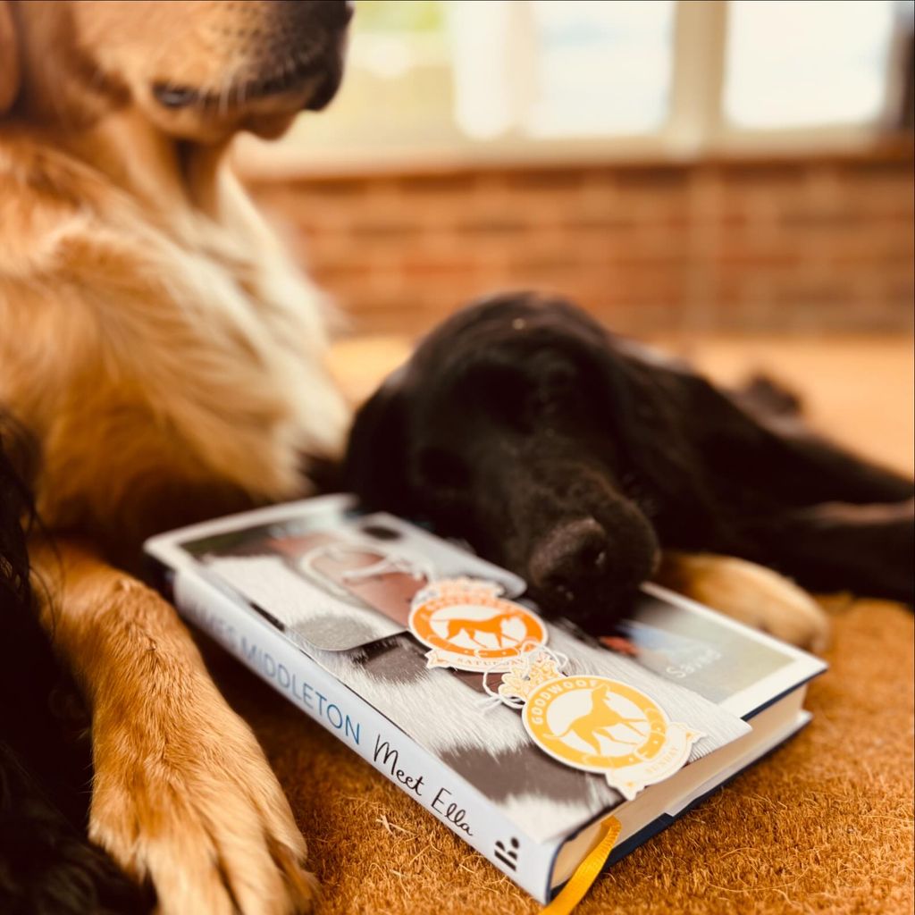 A photo of James' dogs hugging his new book