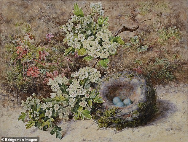 Equally popular with the royal couple was the watercolour painter Helen Cordelia Angell, who was appointed Flower Painter in Ordinary to Queen Victoria.