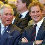 Prince Harry ‘turned down a meeting with King Charles in London because it did not come with security provision’ despite having an offer to stay at a royal residence – as the row over ‘who was avoiding meeting whom’ deepens