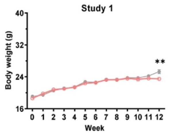 The graph above shows the changes in body weight of mice fed a normal diet. The red line represents mice that were exposed to UV light, while the grey line represents mice that were not exposed to UV light. The mice exposed to UV light had lower body weight