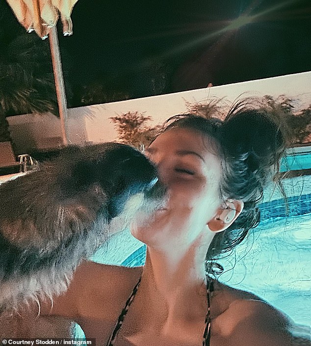 Here the siren is seen kissing another dog while her hair is tied up