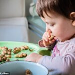 You SHOULD give babies peanuts: proof that stopping kids eating nuts in early life massively increases risk of deadly allergy