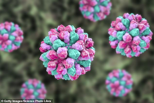 Norovirus, the winter vomiting bug, is a stomach bug that causes vomiting and diarrhoea (stock image)