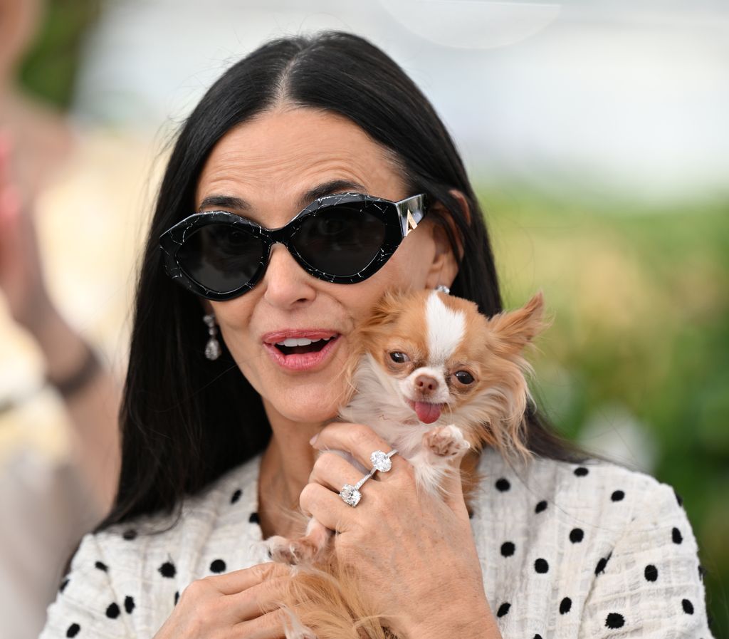 Demi Moore poses with her Chihuahua in front of her face