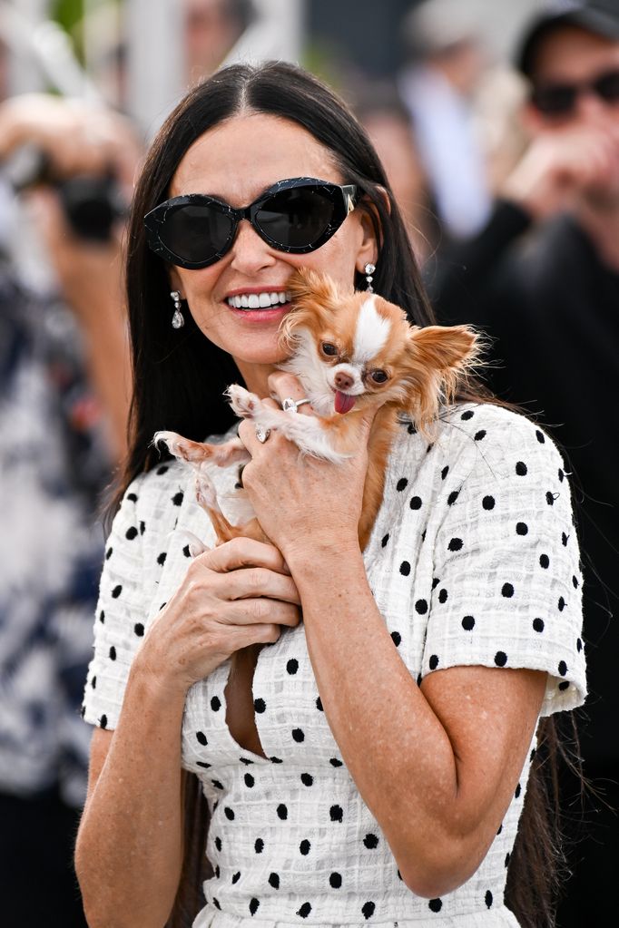 Demi Moore attended the event with her dog Pilaf. "Substance" Photocall at the 77th annual Cannes Film Festival at the Palais des Festivals on May 20, 2024 in Cannes, France. 