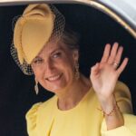 Duchess Sophie stuns in breathtaking cinched dress