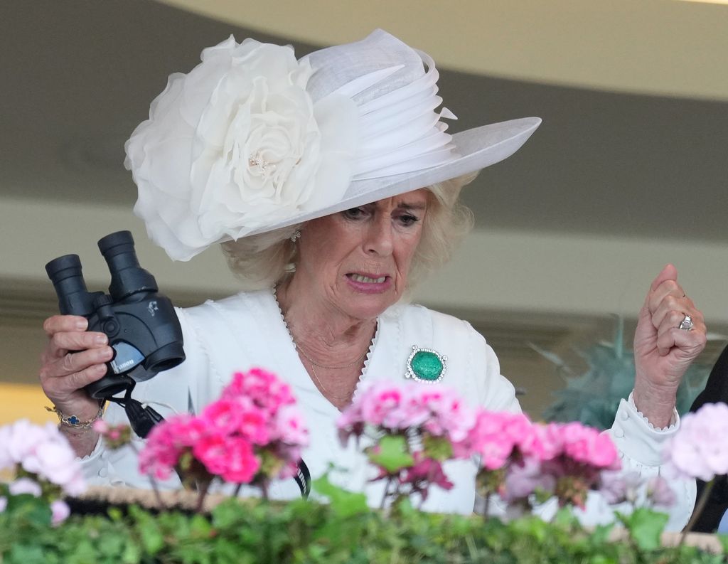 Queen Camilla's face at Royal Ascot
