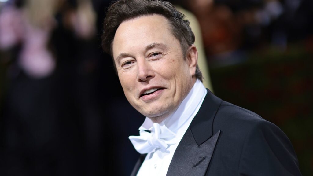 Meet all the women Elon Musk has had his 12 children with: from first wife to a Tesla employee