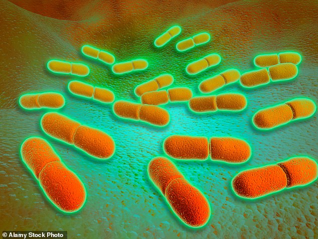 People who eat food containing listeria develop an infection called listeriosis, which can cause fever, aches, chills, nausea, illness, and diarrhea
