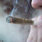 Experts warn of seniors hooked on weed…as new figures show twice as many over 65s seek help in states where it’s legal