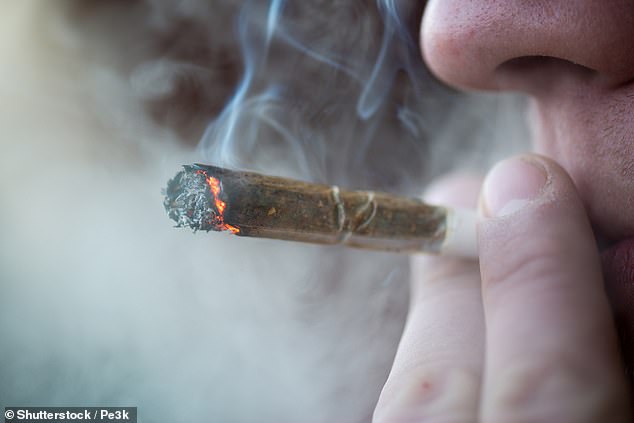 Experts warn of seniors hooked on weed…as new figures show twice as many over 65s seek help in states where it’s legal