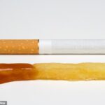Why eating one chip is like smoking a cigarette: DR CATHERINE SHANAHAN reveals the vegetable oils hidden in everyday foods that could make you ill