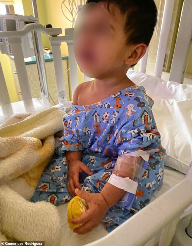 Texas boys, aged five and one, ‘catch hand, foot and mouth disease from WATER PARKS’ – causing painful red sores and seizures