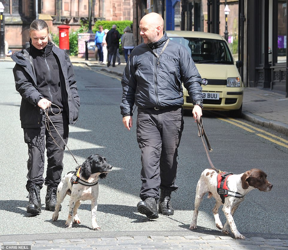 A large security cordon will be erected around the cathedral due to the presence of so many high profile guests. Pictured: Sniffer dogs in Chester