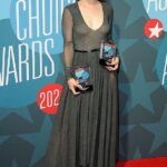 Rachel McAdams takes the plunge in a low-cut gray dress as she leads stars at the 24th Annual Broadway.com Audience Choice Awards in NYC