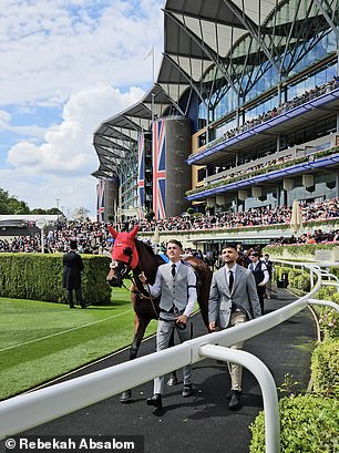 Horses ready to race in the Queen Anne Stakes are shown to the crowd in the parade ring