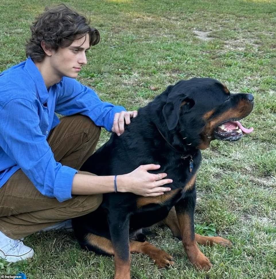Toby is seen here with his black dog on Instagram as he wears a blue shirt with brown slacks