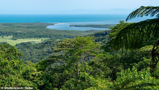 In Far North Queensland (pictured) he loves visiting mangroves and river mouths, as well as various mountain biking trails.