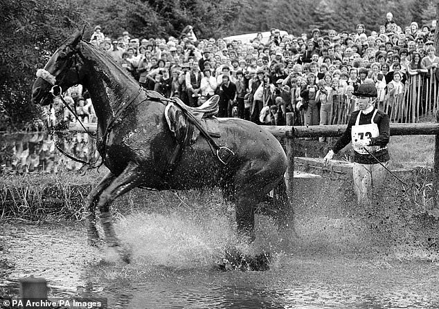 Princess Anne looks at her horse Stevie B after they collide at Burghley Horse Trials, 1981