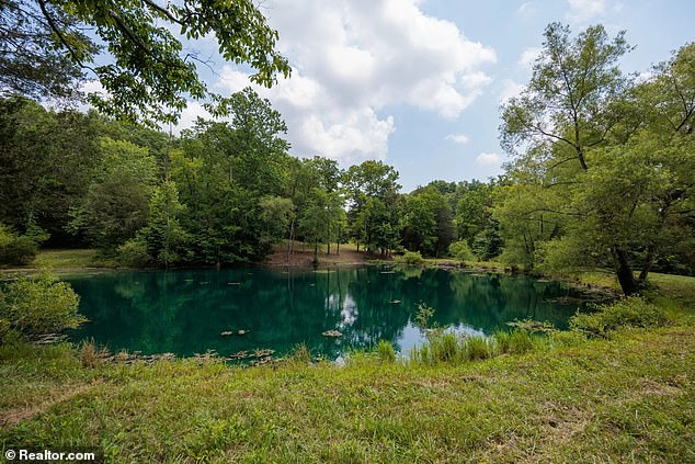 The 3-year-old 'Cry Me a River' hitmaker first listed the plot in Franklin - which is located about 20 miles south of Nashville and just a few hours from her hometown of Memphis - for $10 million in August last year.