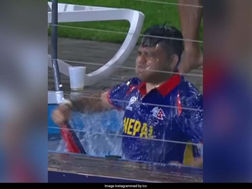 Nepal Fan Jumps Into Pool To Celebrate Bangladesh Star’s Wicket In T20 World Cup Match. Watch