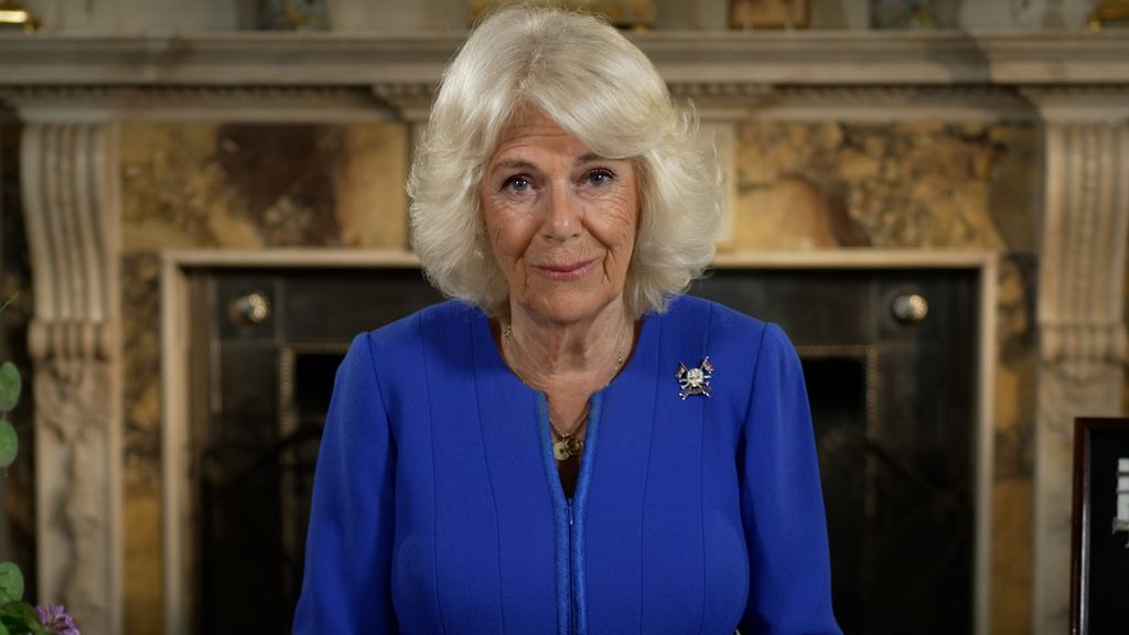 Queen Camilla stands in front of a fireplace in a blue dress