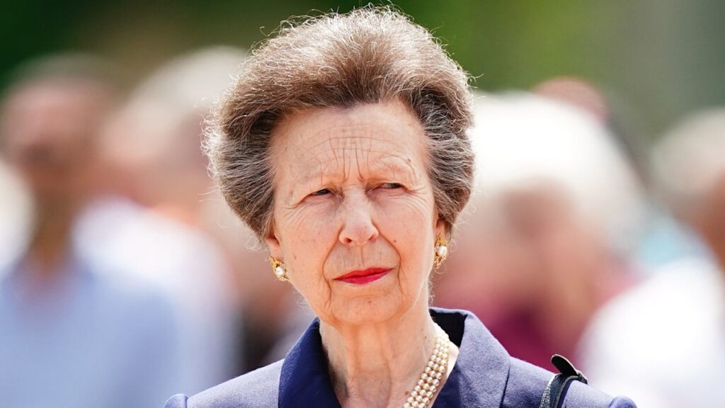 Princess Anne in hospital after sustaining minor injuries and concussion at her Gatcombe Park home