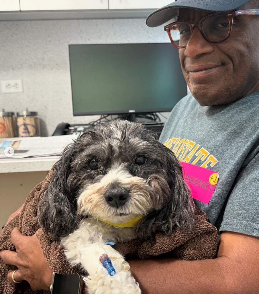 Photo shared by Deborah Roberts on May 5, 2024 sharing with fans that her and Al Roker's dog Pepper had collapsed unexpectedly and was recovering after emergency surgery
