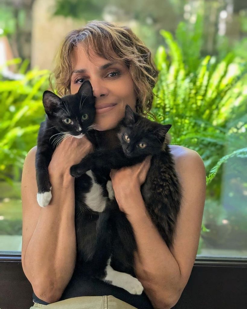 Halle Berry welcomed new kittens into her family!