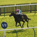 Robin Goodfellow’s racing tips: Best bets for Wednesday, July 3