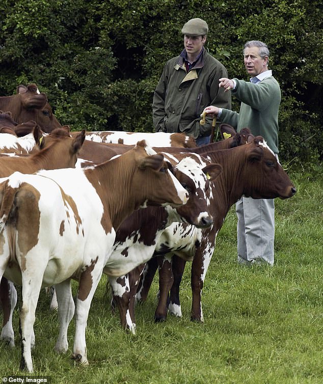 There's no doubt the Prince of Wales is on a mission when it comes to the environment. Does this sound familiar? Above: William and Charles checking on a herd of cattle at Duchy Home Farm in Tetbury in 2004