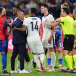 Slovakia manager Francesco Calzona blasts England’s time-wasting tactics as he reveals Declan Rice apologised to him after his expletive-filled rant