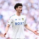 Tottenham sign Leeds midfield starlet Archie Gray for £30m, as Joe Rodon heads in the opposite direction in separate £10m deal