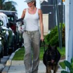Gisele Bundchen steps out with her dogs in Miami after a romantic Costa Rica getaway with boyfriend Joaquim Valente