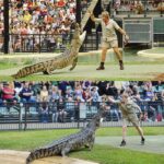 Like father, like son! Robert Irwin is compared to his famous dad Steve in resurfaced identical pictures taken 15 years apart
