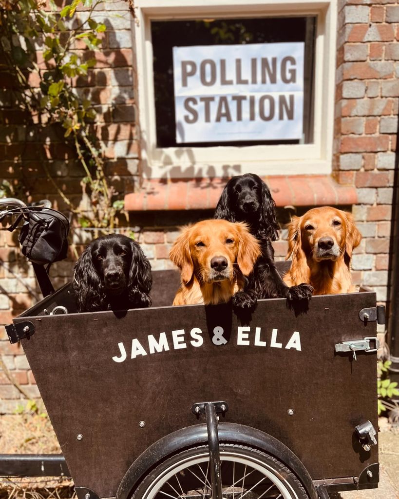 James Middleton's dogs at the polling station