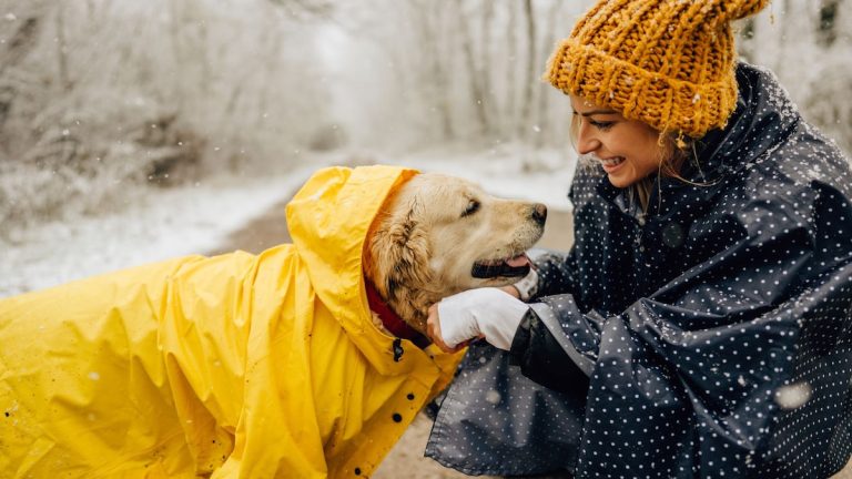 We've found the must-have dog raincoats for this fall