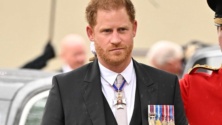 Prince Harry Biography